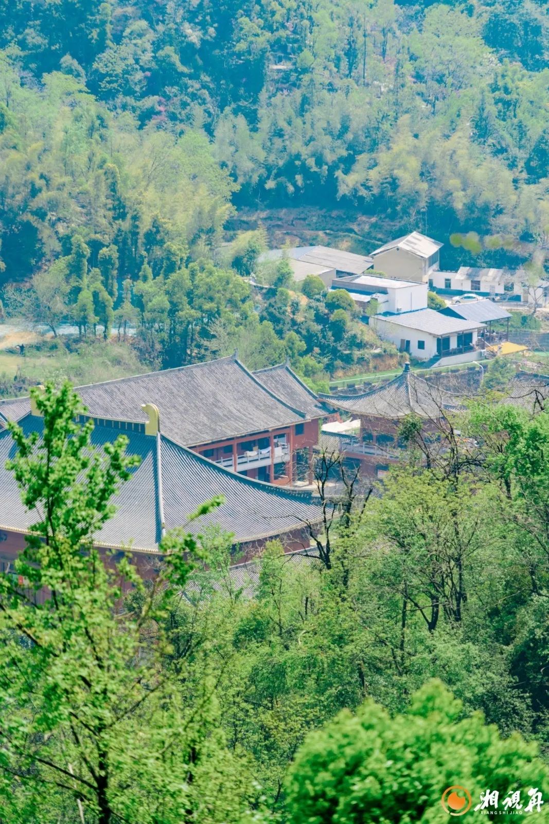 DƬ
